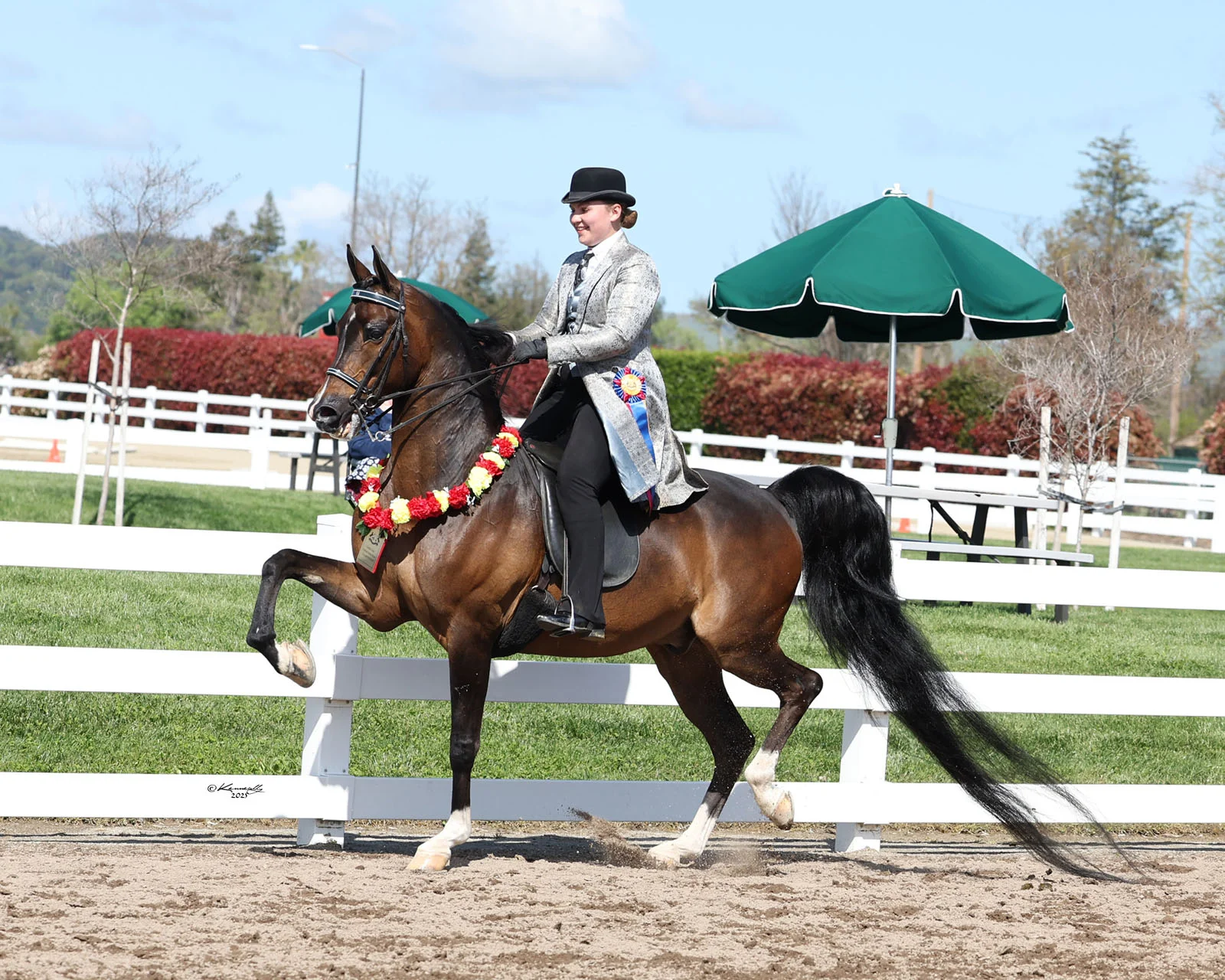 Sherman- Golden Gate Arabian Horse Association