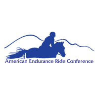 american-endurance-logo-color