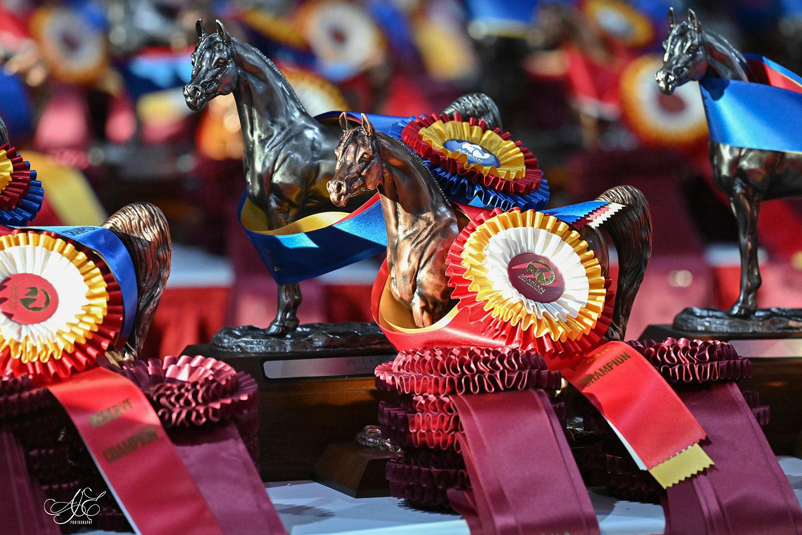 Horse-Award Horse Show Awards