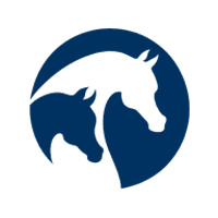 arabian-horse-association-logo-blue-v2